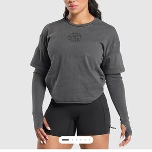 Gray Crop Boxy Long Sleeve Tee